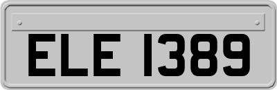 ELE1389