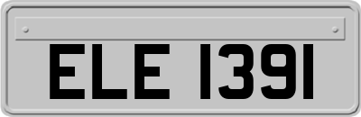 ELE1391