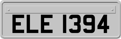 ELE1394