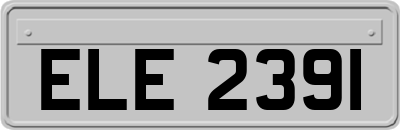 ELE2391