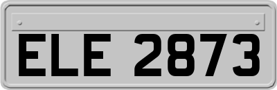 ELE2873