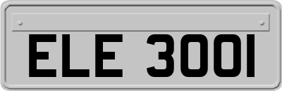ELE3001