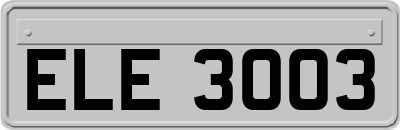 ELE3003