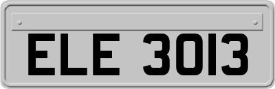 ELE3013