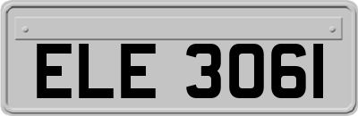 ELE3061