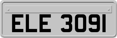 ELE3091