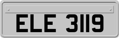 ELE3119