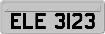 ELE3123