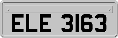 ELE3163