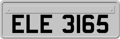 ELE3165