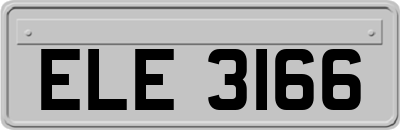 ELE3166
