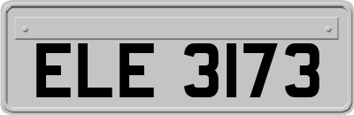 ELE3173