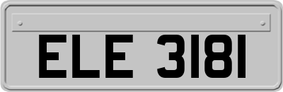 ELE3181
