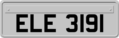 ELE3191