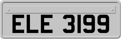 ELE3199