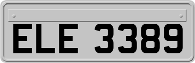 ELE3389
