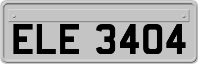 ELE3404