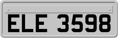 ELE3598