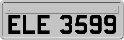 ELE3599