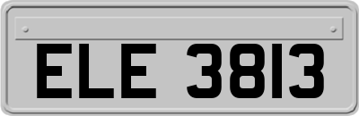 ELE3813