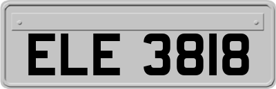 ELE3818