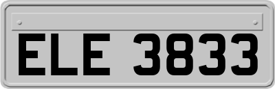 ELE3833