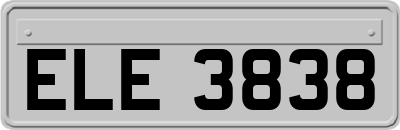 ELE3838