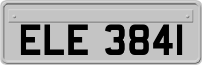 ELE3841