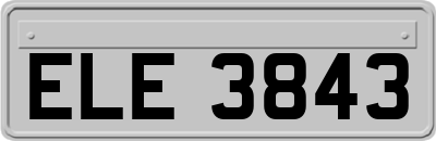 ELE3843