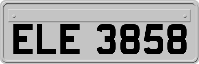 ELE3858