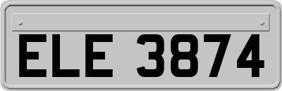 ELE3874