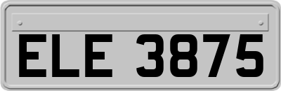 ELE3875