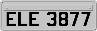 ELE3877