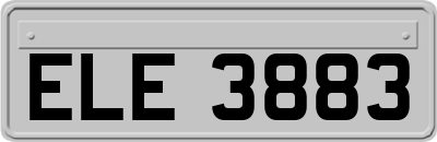 ELE3883