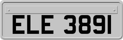 ELE3891