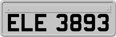 ELE3893