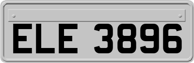 ELE3896