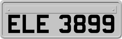 ELE3899