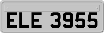 ELE3955