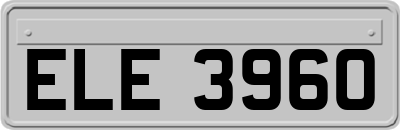ELE3960