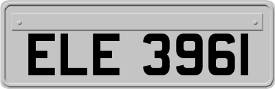 ELE3961