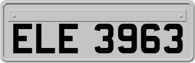 ELE3963