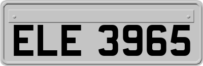 ELE3965