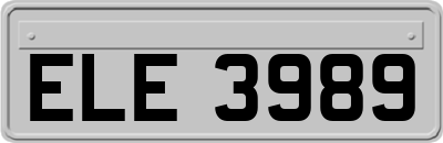 ELE3989