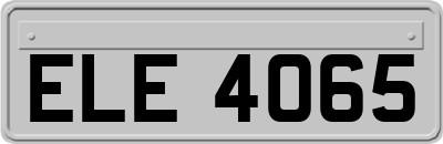 ELE4065