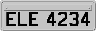 ELE4234