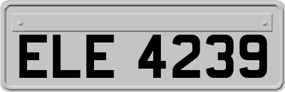 ELE4239