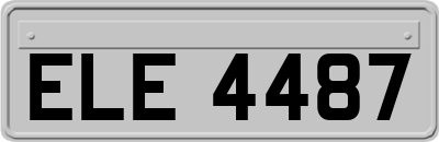 ELE4487