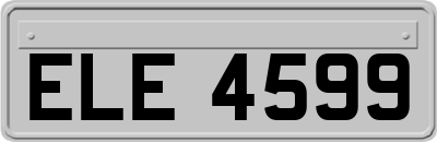 ELE4599