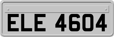 ELE4604